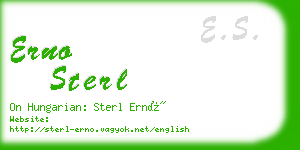 erno sterl business card